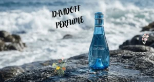 Davidoff Cool Water –10 zeitlose Duftklassiker für Damen und Herren Davidoff Cool Water: Der zeitlose Duftklassiker im Überblick