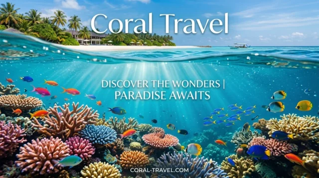 7 inspirierende Gründe für Coral Travel | Ultimativer Reiseführer 7 inspirierende Gründe für Coral Travel | Ultimativer Reiseführer